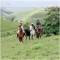 Horse Riding in Kenya