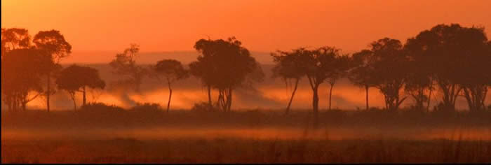 Dawn over Musiara Marsh